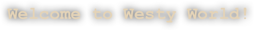 Welcome to Westy World!